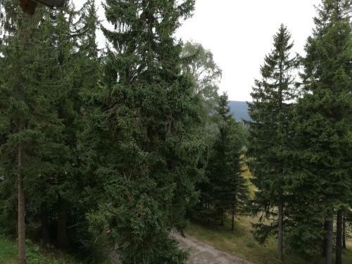 Highstone Apartments - Apartament Mountain Chillout