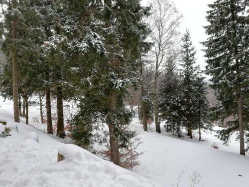 Highstone Apartments - Apartament Mountain Chillout