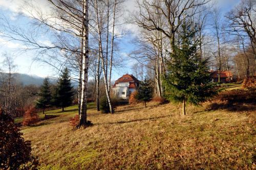 Apartamento Reszyniec