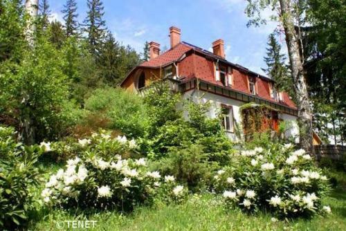 Villa Willa Polny Krzew