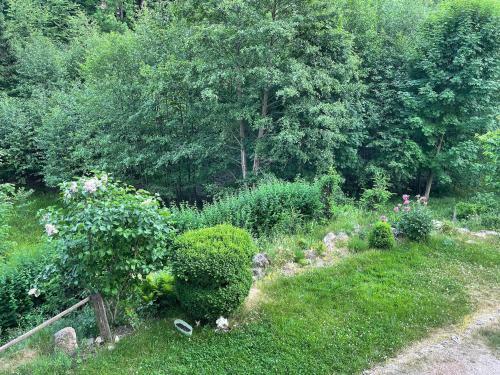 Hostal Kurzacka Chata
