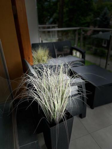 Apartamento Stone Hill Szklarska Por?ba