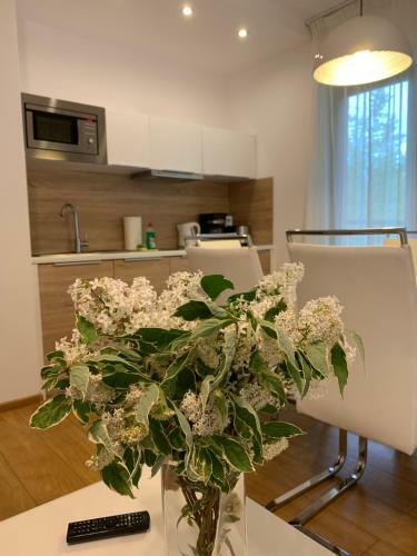 Szklarska Por?ba - Apartament Mondi Kai