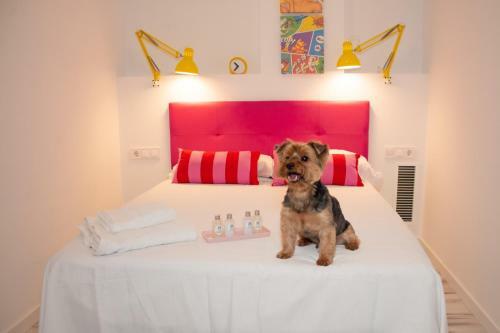 Apartamento Soraya's Place - Chop�n 3