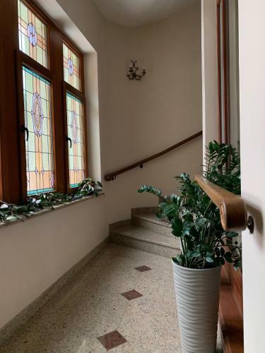 Apartamenty 4 I 45 W Willi J�zefina
