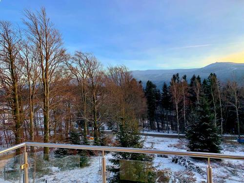 Apartamenty Widokowe - Widok 800 - Royal Aparts