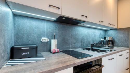 Apartamenty Widokowe - Widok 800 - Royal Aparts
