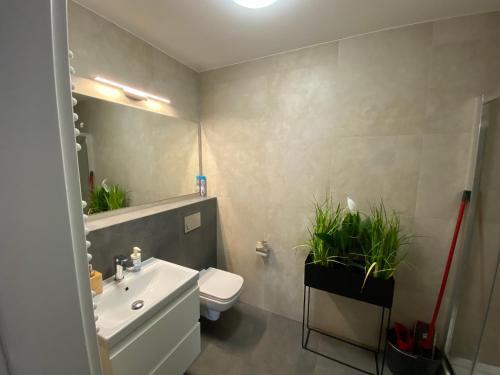 Apartament B1 Szklarska800