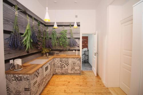 Apartamenty 511