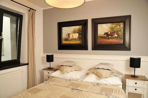 Apartamenty Kopernika 14