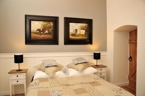 Apartamenty Kopernika 14