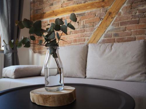 Apartament Z Widokiem W Centrum Starego Miasta