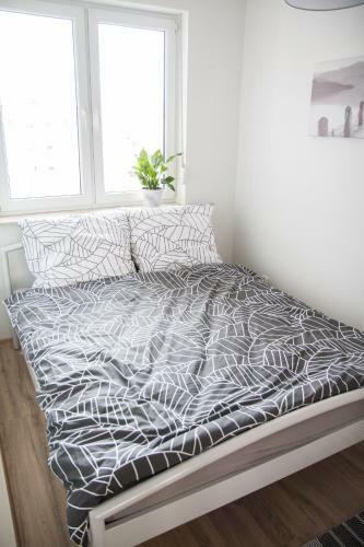 Apartament F&j