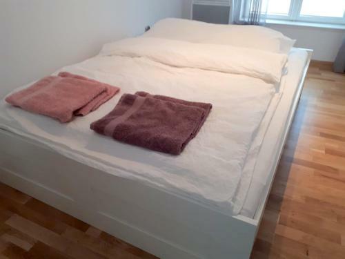 Apartament Toru?, Szeroka Cosy Apartment