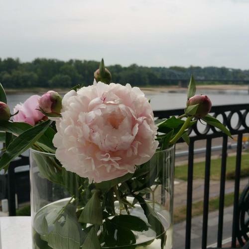 Apartamento The View Torun