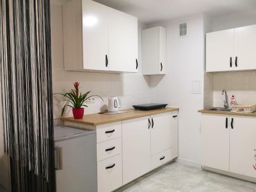 Apartament Alfa