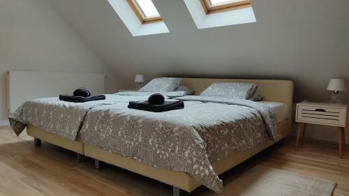 Apartamenty Ceglane