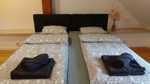 Apartamenty Ceglane