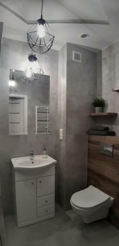 Apartament D?bowy Z Miejscem Parkingowym
