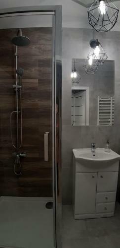 Apartament D?bowy Z Miejscem Parkingowym