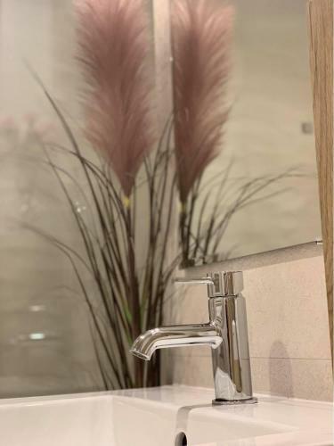Apartamento Szepty Mansardy