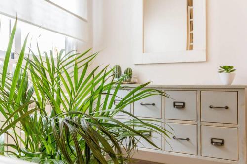 Apartamento Cosy & Downtown Flat Valencia.