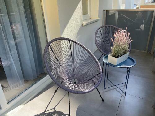 Apartament Moonapart Toru?