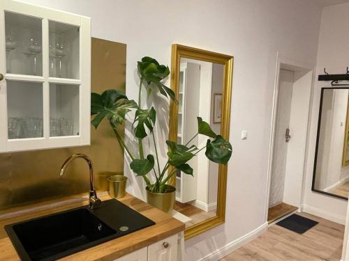 Apartamento Willa 1936