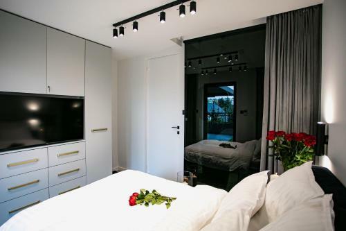 Apartamenty Movo