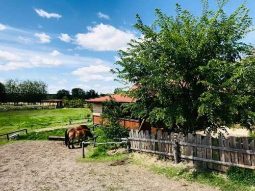 Agroturismo Ranczo W Dolinie