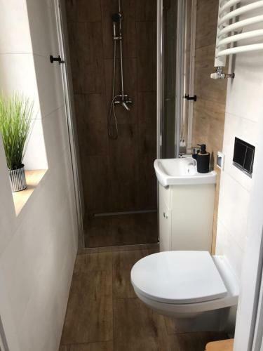 Apartamento Pokoje Go?cinne
