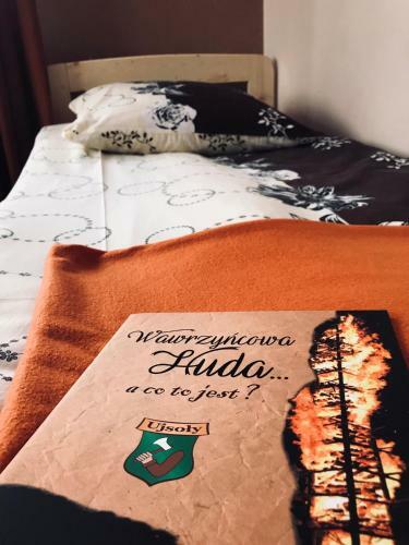 Apartamento Pokoje Go?cinne