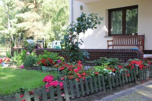 Bed & Breakfast Willa Olympia