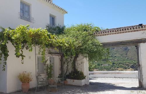 Casitas Rio Verde