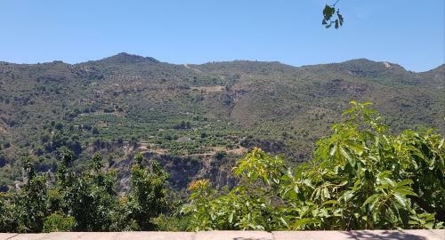 Casitas Rio Verde
