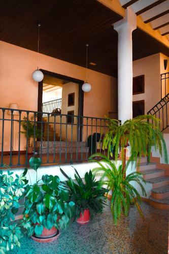 Agroturismo Fabrica De Harina