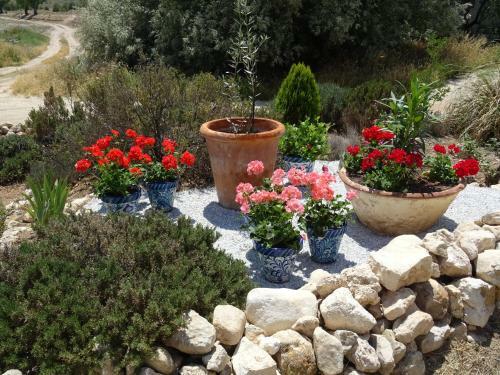 Agroturismo Cortijo Romero