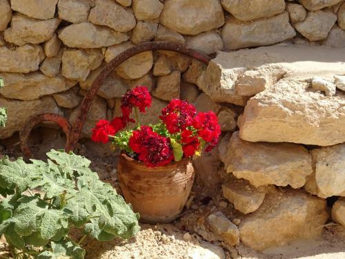 Agroturismo Cortijo Romero