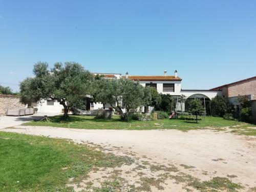 Mas Can Font