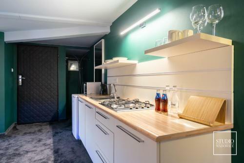Exclusive Apartment Centrum