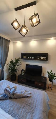 Apartament A&s Widok W Wa?brzychu