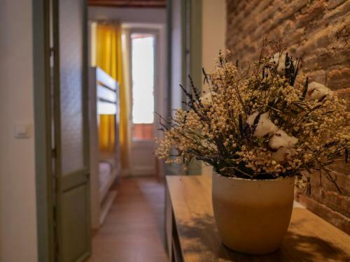 Luxury Apartment Stancesvic