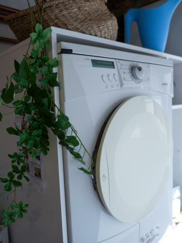 Luxury Apartment Stancesvic