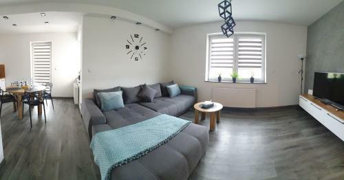 Apartament Aim Le?ny Zak?tek