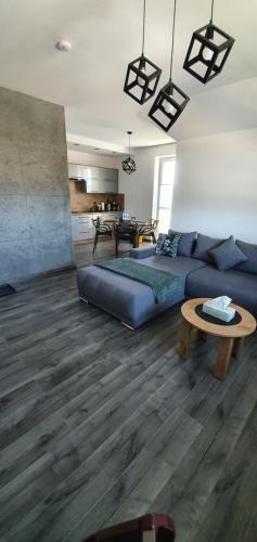 Apartament Aim Le?ny Zak?tek