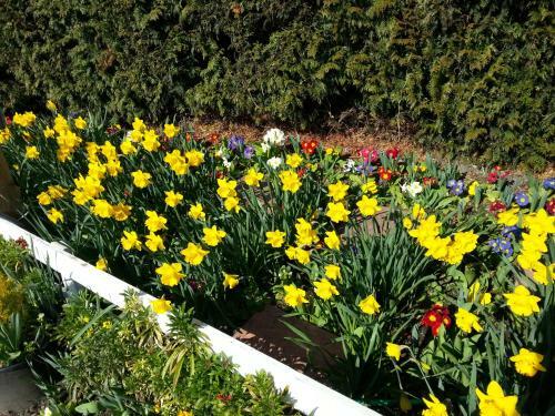 Hostal Oldroyd Guest House & Spa