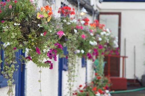 Hostal Oldroyd Guest House & Spa