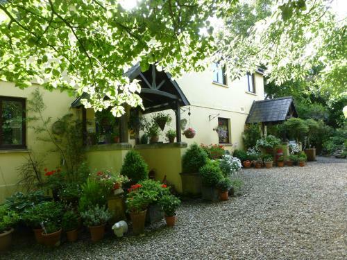 Coedllys Country House B&B