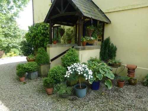 Coedllys Country House B&B