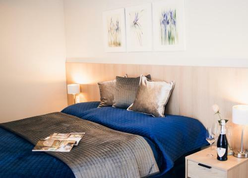 Villa Harmonia Apartamenty Ustro?